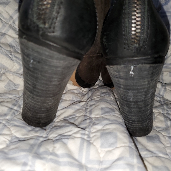 Plenty By Tracy Reese Triple Buckle Mid Calf Boot - Picture 14 of 16